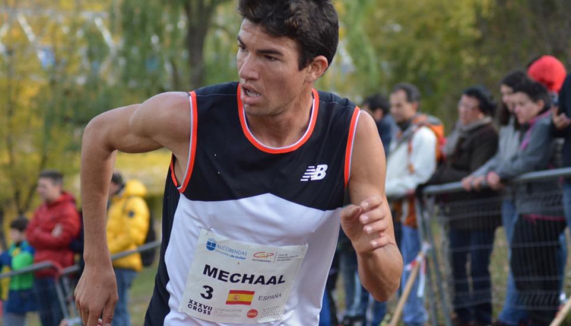 mechaal mechaal